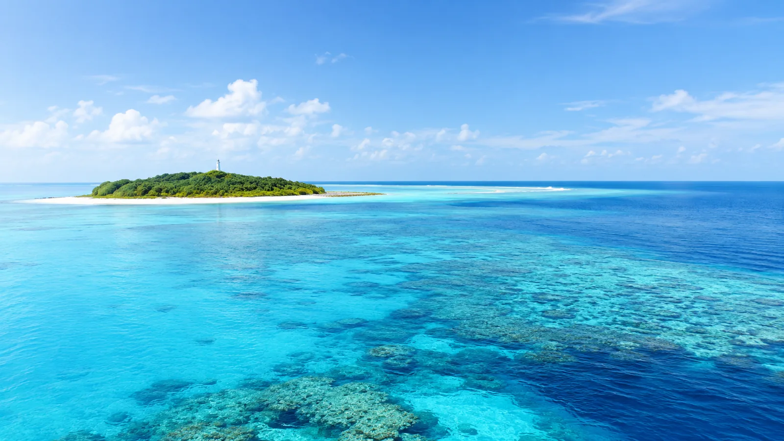 Lady Musgrave Island und Great Barrier Reef