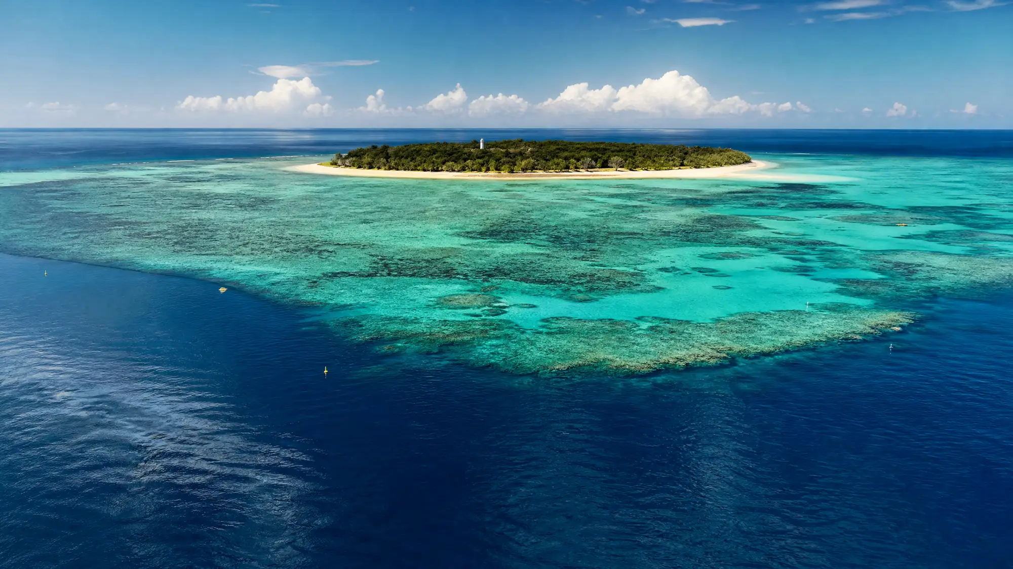 Lady Musgrave Island ist eine unbewohnte, 35 Acre große Koralleninsel, die von einer riesigen, 2,950 Acre großen Lagune im südlichen Great Barrier Reef umgeben ist.