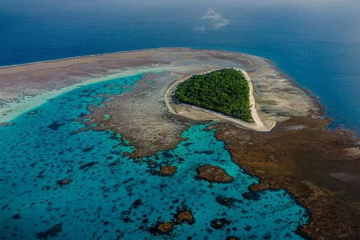 Luftaufnahme von Lady Musgrave Island, umgeben von Korallenriff und türkisblauem Wasser