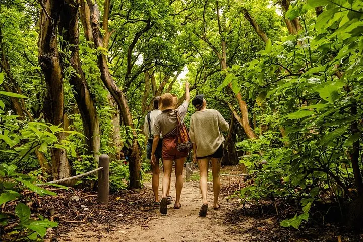 Drei Personen auf einem sandigen Pfad durch einen üppig grünen Wald